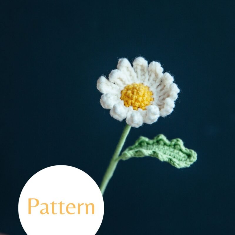 Field Daisy #29